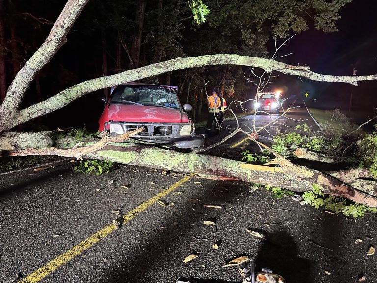 Large tree falls in road, one injured after crashing into tree