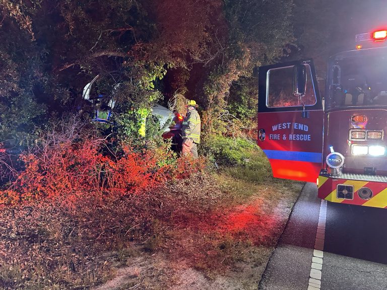 Car crashes into tree line on Hoffman Road