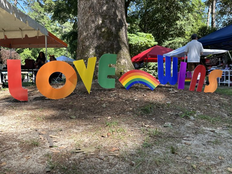 Hundreds attend 2nd annual PRIDEfest