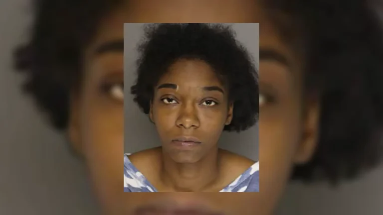 Princess Jasmine McAllister | Photo: MCSO