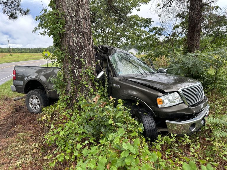 Teenager injured after crashing truck into tree