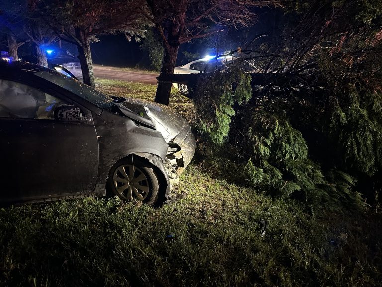 Crash closes Murdocksville Road, tree down in roadway