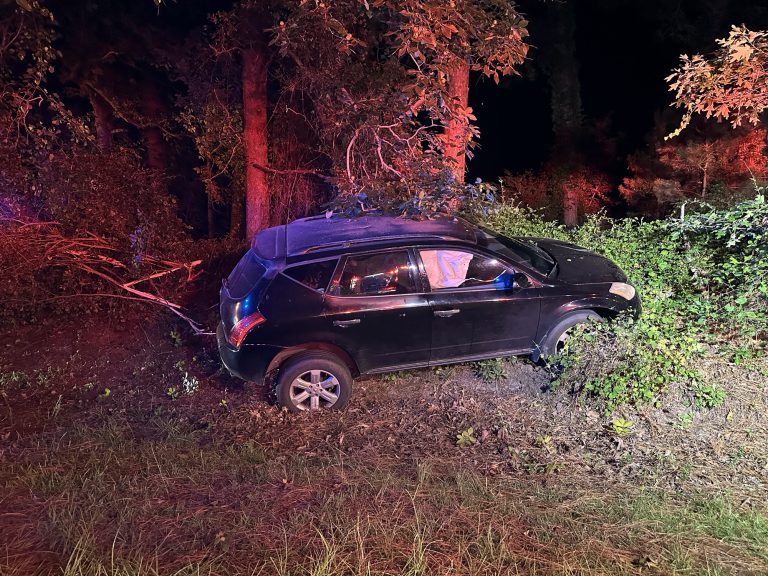 Car crashes into wood line, driver charged with DWI