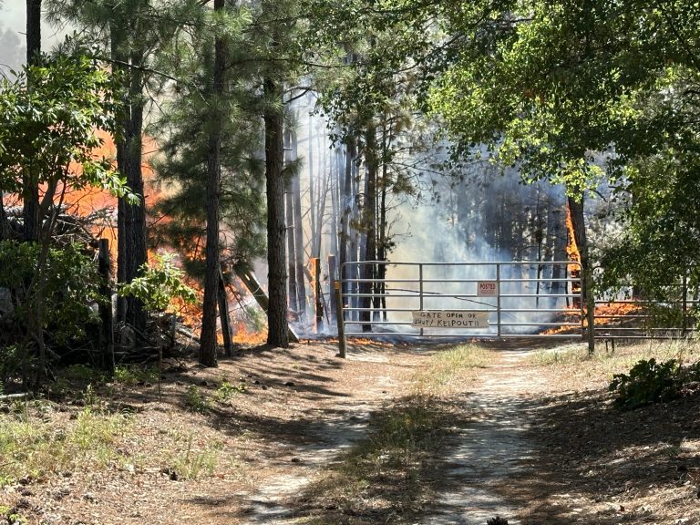 VIDEO: Large outside fire quickly spreads in Eagle Springs