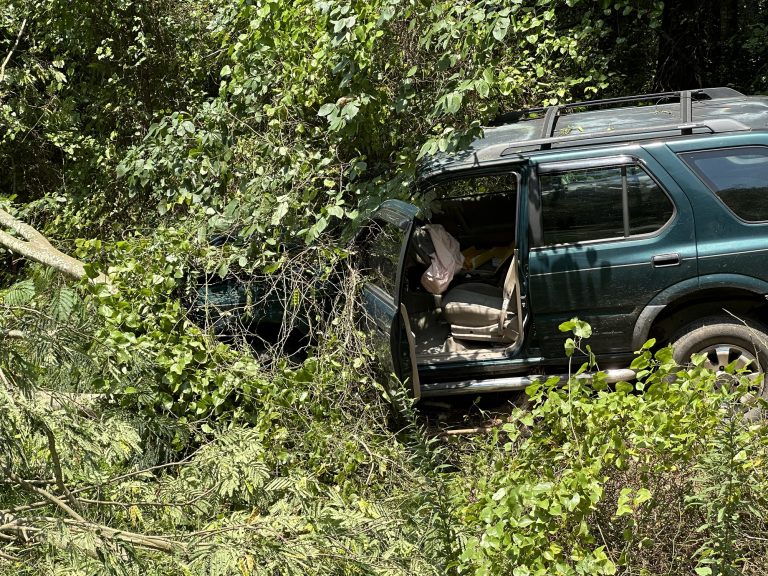 Man arrested after crashing into woods, leaving scene