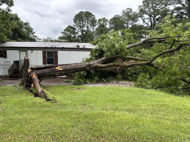 Severe weather topples trees into home, closes multiple roads