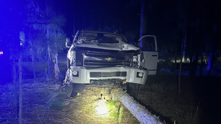 Driver injured after falling asleep, crashing into tree