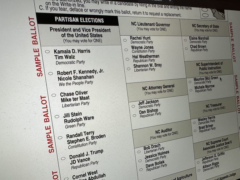 Mail-in voting in NC delayed after court order
