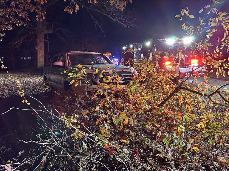 Man suffers stroke while driving, crashes into small tree