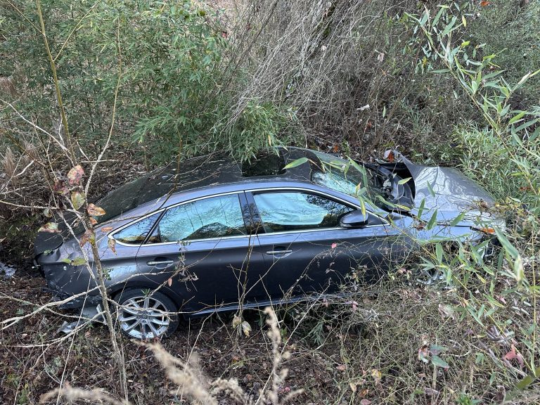 Woman airlifted after hitting tree near Eastwood