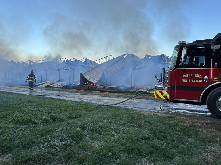 Chicken house catches fire early Sunday