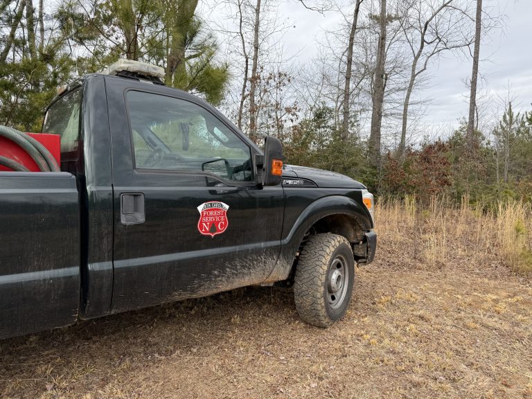 N.C. Forest Service to lift statewide burn ban following recent rainfall