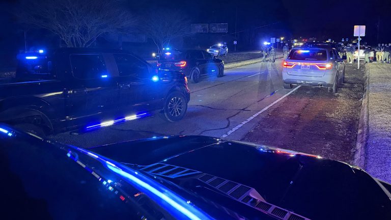 VIDEO: Pinebluff traffic operation ends with 4 arrests, nearly 50 citations