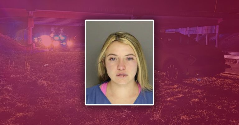 Police: Driver travels wrong direction on U.S. 1 after fleeing crash scene, arrested on several charges