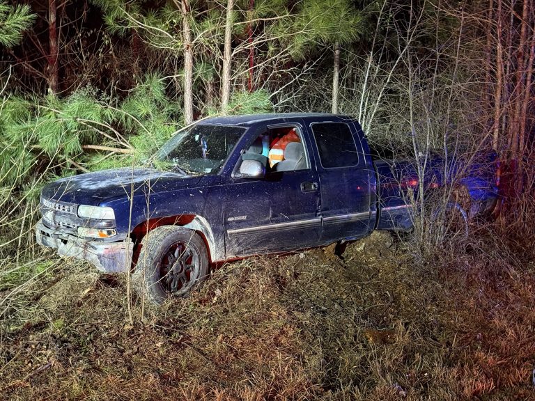 Truck goes into wood line after swerving to avoid deer
