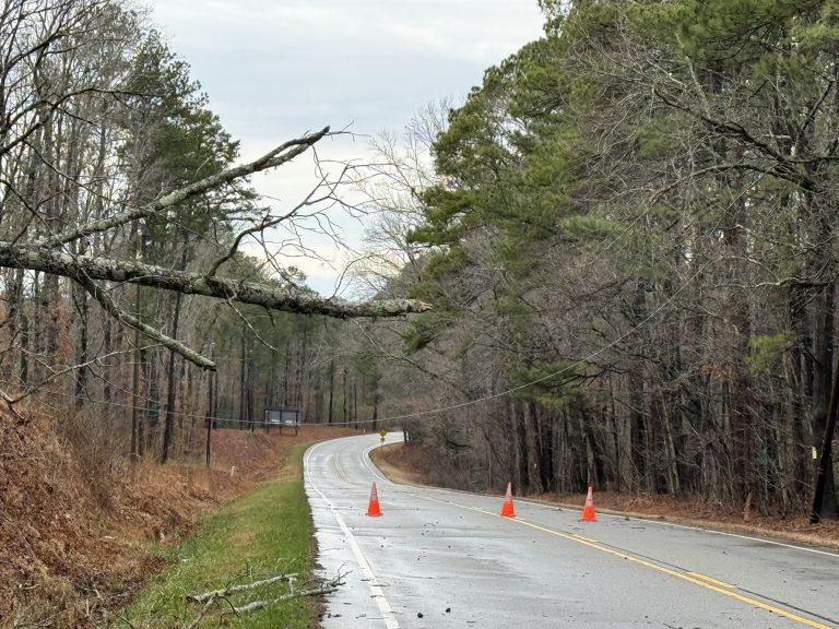Highway 24-27 closed due to power lines in roadway