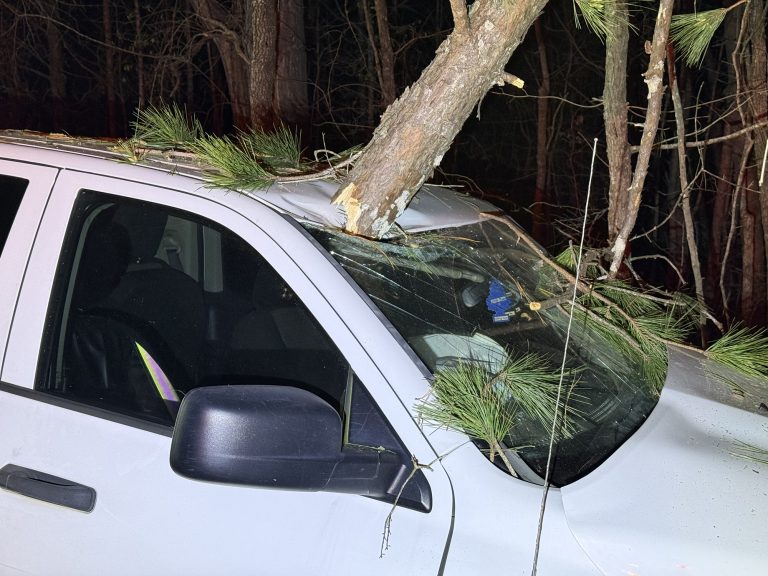 Tree nearly pierces through windshield in late-night crash on Highway 24-27