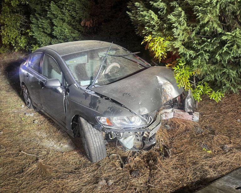 Driver escapes with minor injuries after crashing into tree in Aberdeen