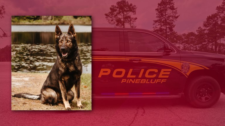 Pinebluff Police K9 to receive protective vest thanks to nonprofit donation