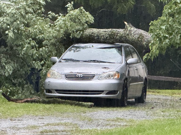 Tree falls on car and house during storm in Vass