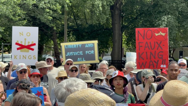 Large crowd gathers in Southern Pines for ‘No Kings’ protest