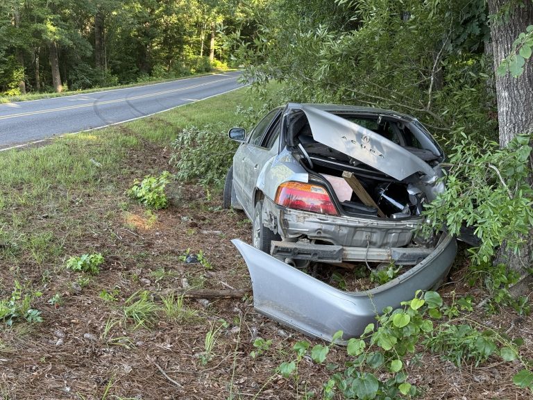 Driver flees scene after crashing into trees